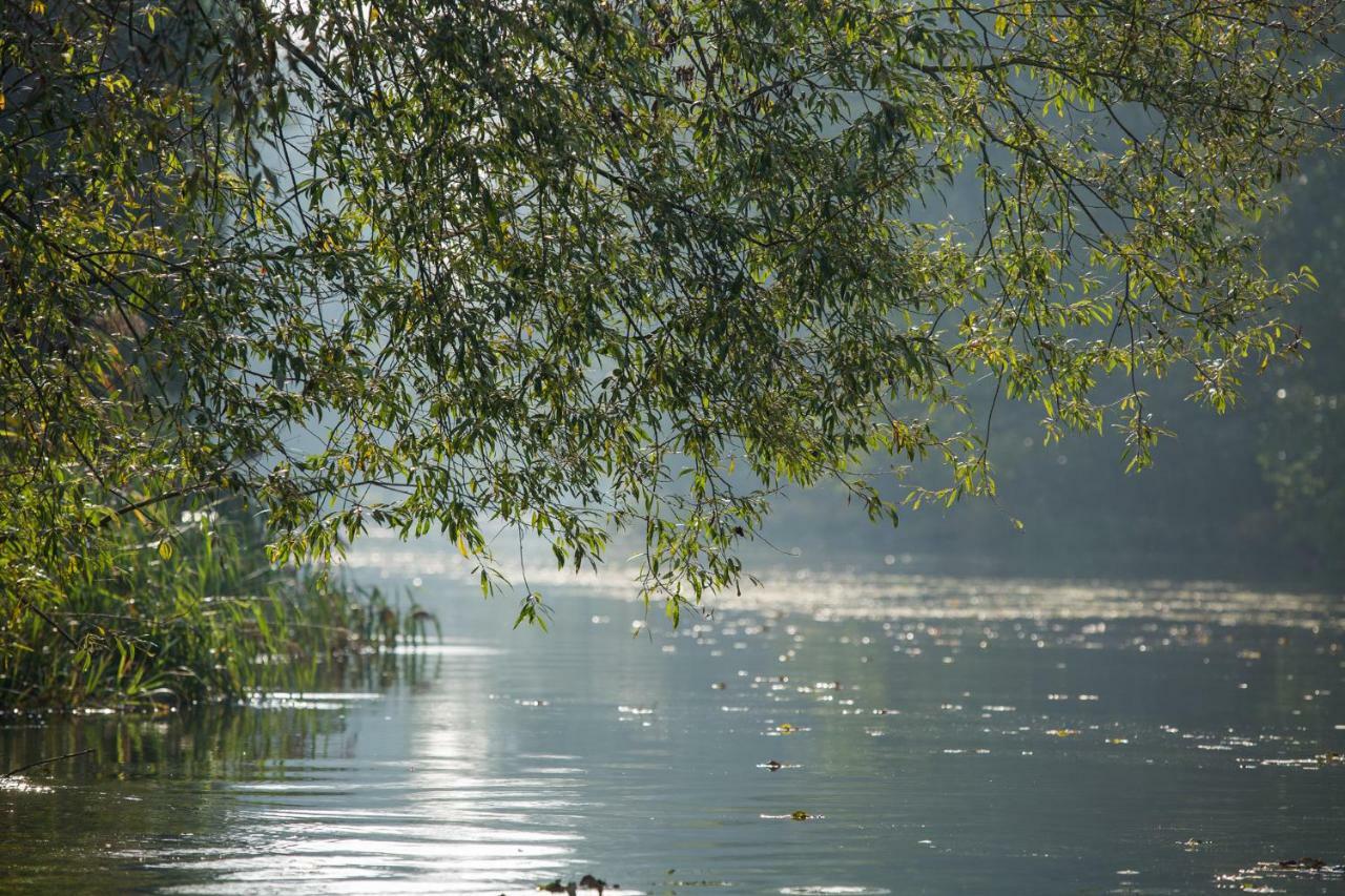 Spreewaldferienwohnungen Lübben Exterior foto