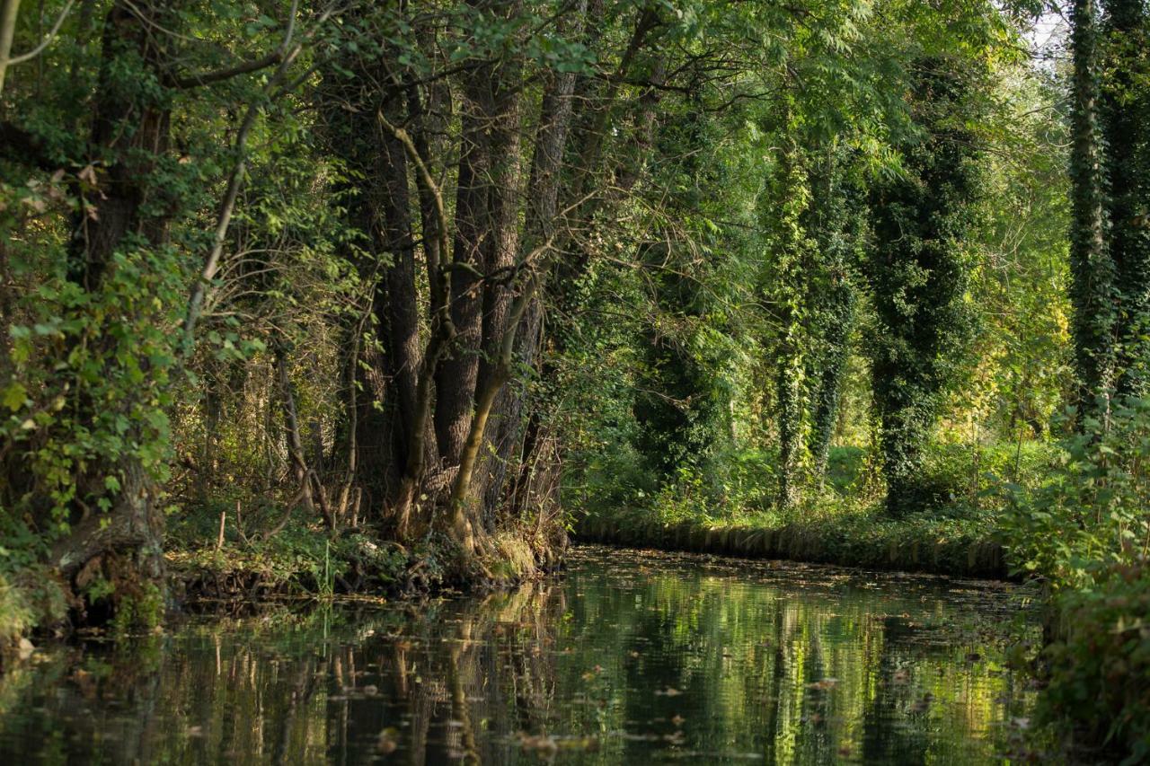 Spreewaldferienwohnungen Lübben Exterior foto